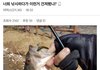 낚시하다가 건졌대 개무서워ㅠㅠㅜㅜ