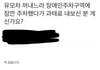 무개념엄마의 청와대청원글