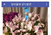 엄마화분 몰래팔기