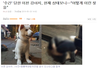감사감사))성폭행당한 이천 강아지 청원 부탁드립니다!!!!!