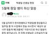 거북이 소름 돋는 점