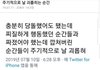ㅈㄴ극단적인 추반하자
