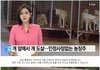 개앞에서 개도살한 농장주