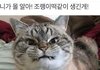 나 알바하다가 번호따간애랑 연락하는데