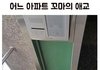 어느 아파트 꼬마의 애교