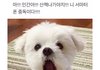 아직도 호텔델루나 여운이 안 가고 버틴다;;