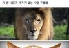 기 쎈거와 싸가지 없는거 구분법