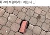 강남 사는 애들 어느정도 잘 사는거 아님?