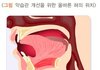 얼굴형이 바뀐다는 올바른 혀의 위치 ㄷㄷㄷ
