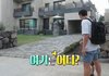 이동국네 제주도 집 봄?