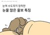 눈물이 많은 사람들 특징
