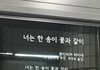 설리 생각하면서 무심코 지하철 타려고 섰는데
