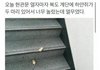 오늘 현관문 열다가 소름 돋음...