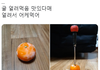 귤 얼려먹음 맛있다매