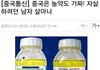죽으려는 중국 남자가 살아난 이유