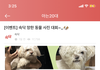 커뮤니티에서 한 망한 동물 사진 대회ㅋㅋㅋㅋㅋㅋㅋㅋㅋㅋㅋ