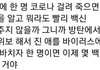 뭐만 하면 방탄하더니 코로나바이러스