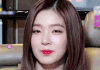 아이린 외모가 예쁜 이유