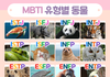 MBTI 유형별 동물이래