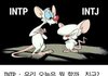 mbti 짤 푼다. -intj편1-