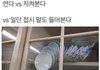 +추) 어떤 남자애가 대신 버스비내줬음ㅜㅜㅠ