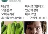 (약혐주의)ㄹㅇ 블랙헤드 개빡침