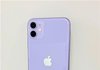 아이폰11 퍼플 나만 초딩같음?