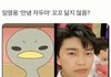 우리엄마 이 짤 ㅈㄴ 싫어함