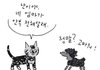 천국에 간 강아지와 고양이의 대화