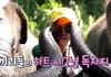코끼리한테 물폭탄 맞는 송민호