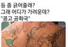 분위기 우아함 vs 귀여움