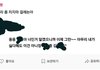 에스크 이런경우에도 고소할 수 있어?