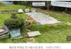 박원순 무덤 도굴당했대