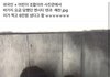 나 진짜 ㄹㅇ 수시 다채롭게 썼는데