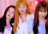 레드벨벳 내년에 9년차ㄹㅈㄷ