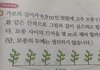청순하다는말 개역겨움