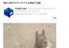 다람쥐에게 소매넣기 당한 사람