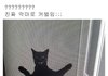 니네 주변에 민지가 많아 서연이가 많아