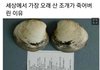 세상에서 가장 오래산 조개가 죽은 이유