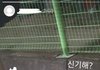 +ㅈㅅ) 나 이거 설레도돼…?…