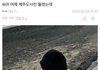 세븐틴 조슈아랑 프미나 이새롬 뭐야..?
