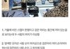 열애설에 대응하는 아미.army