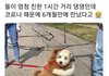 6개월만에 상봉한 댕댕이들