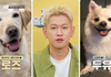 강형욱한테 솔루션 받은 크러쉬 반려견