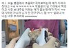 초음파 치료받는데 자는 고양이