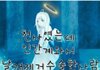 트위터 프아, 프로아나 특징