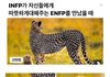 MBTI 생태계 최약체 INFP