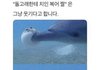 연합댄동 들어갔는데 가슴때문에 힘들어