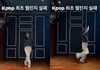 아이유, K팝 최초 챌린지 실패 영상