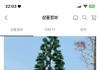 이런 룩에는 무슨 신발 신음? 개급해